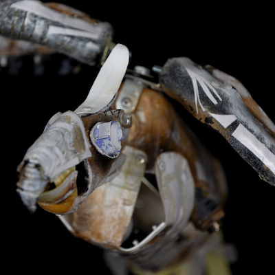 MTM.2018.0156.0302 MTM.2018.0156.0302